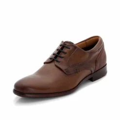 Business Schuhe braun