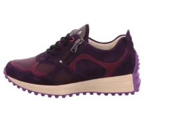 Komfort Schnürer lila/pink ORDER AURIGA DOLMIAS ORD.